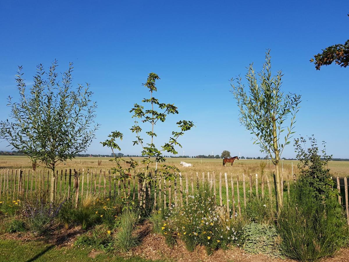 Heimatliebe Ferienwohnung Бёргеренде-Ретвиш Экстерьер фото